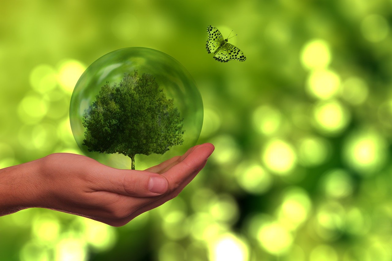La copropriété verte : comment rendre son immeuble plus écologique